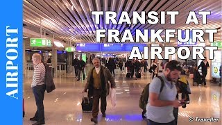 TRANSIT WALK AT FRANKFURT Airport FRA Terminal 1  Connection Flight Transfer Arriving amp Departing [upl. by Yllim]